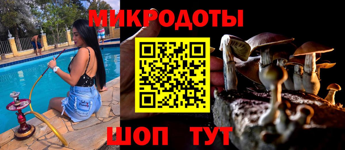 Дальнереченск  хочу наркоту  Вход с VPN  Галлюциногенные грибы мухоморы 